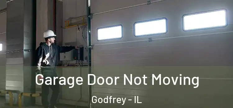  Garage Door Not Moving Godfrey - IL